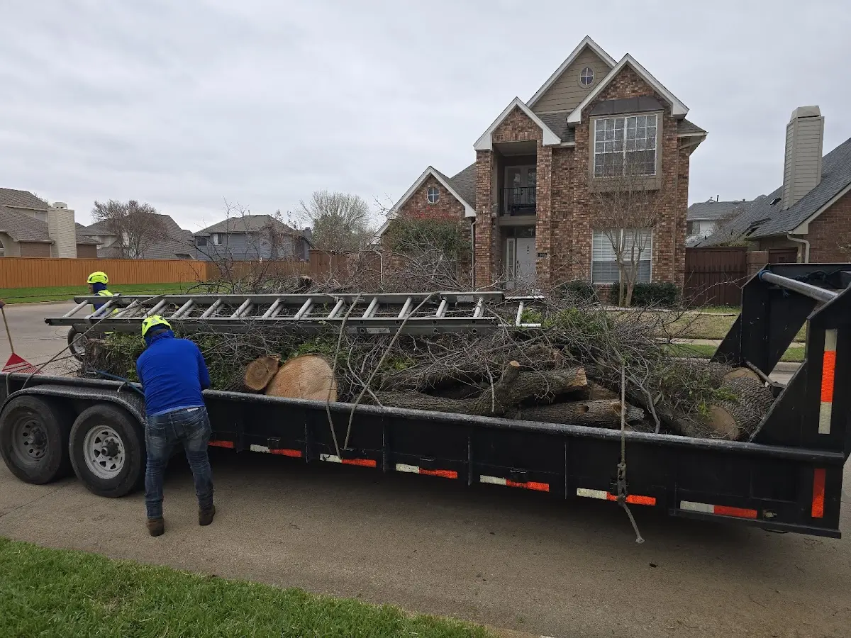 Expert Lot Clearing with proper safety equipment in Forest Junction